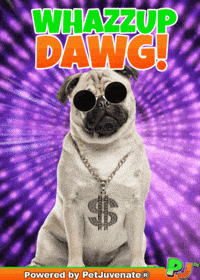 PetJuvenate petjuvenate henlo hooman fren love rescue dogs treatos and woofer for pupper GIF