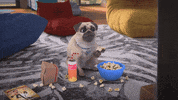 Netflix Popcorn GIF by TeamTO