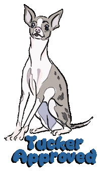 RensPets pet approved renspets rens pets dog approve Sticker