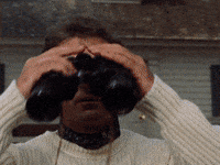 Sesame Street Bird GIF by Bell Brothers