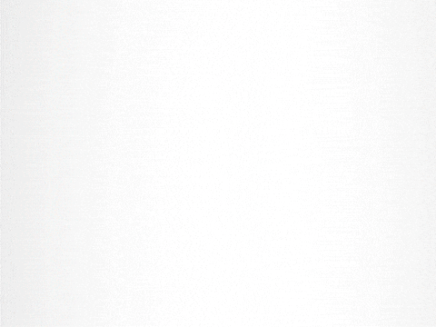 Push Up Work Out GIF by Flocksy