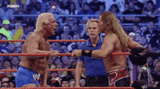 shawn michaels wrestling GIF by WWE