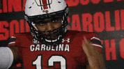 College Football GIF by gamecocksonline