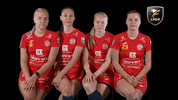 Floorball Salibandy GIF by F-liiga