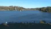 elojodenestor gif art remix paisaje tandil GIF