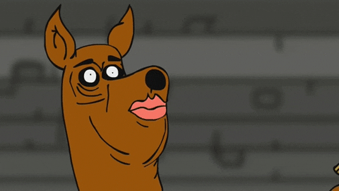 scooby GIF