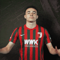 Goal Bundesliga GIF by FC Augsburg 1907