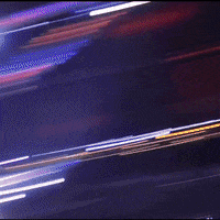 big cat lol GIF by Barstool Sports