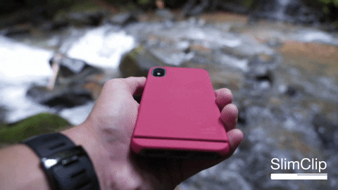 theWTFactory giphyupload GIF