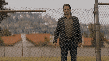 staring true detective GIF