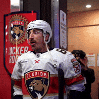High Five Lets Go GIF by Florida Panthers