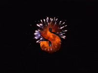 Hot Boys GIF by Cash Money
