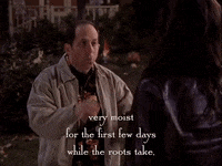 season 3 netflix GIF by Gilmore Girls 