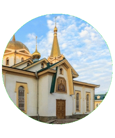 Визитроссия Sticker by kchr