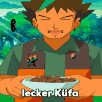Pokemon Anarchy GIF