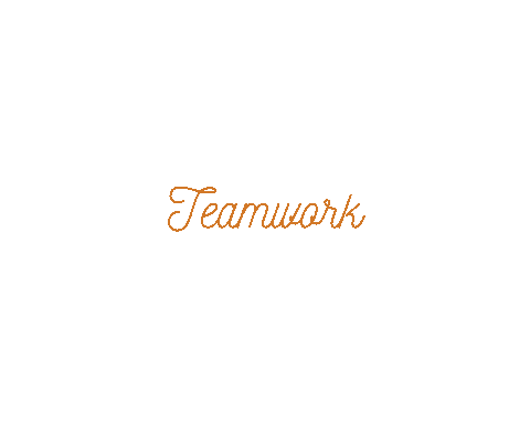 Teamwork Makes The Dream Work Sticker by lightandsupplehorses