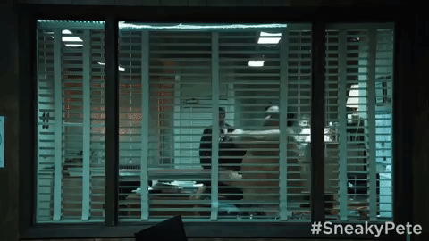 season 1 GIF by Sneaky Pete