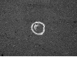 Paatrice chalk craie paatrice ouature GIF