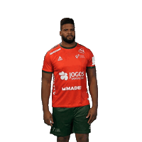 Active Sticker by Federação de Andebol de Portugal