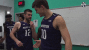 High Five Spencer GIF by Northwestern Athletics