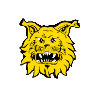 Ilvesedustus ilves keltavihreä Sticker