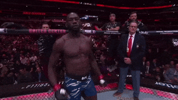 Jared Cannonier Sport GIF by UFC