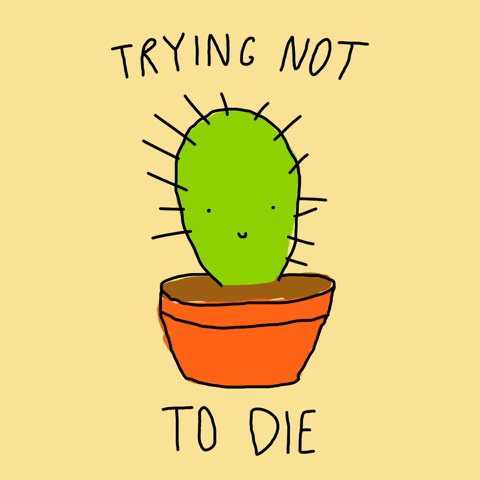 stickfiguregirl giphygifmaker plant death cactus GIF