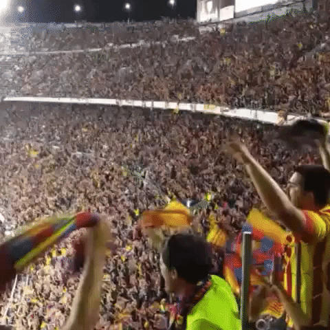 campnou GIF by FC Barcelona