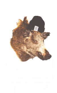 Arosa Sticker by Gueterschuppen