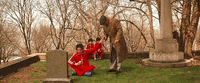 wes anderson GIF by The Good Films