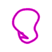elbachee neon dignidad elbachee elbacheedignidad Sticker