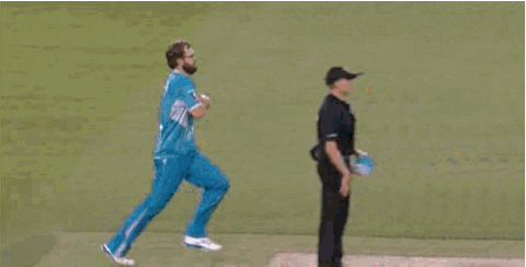 bash GIF