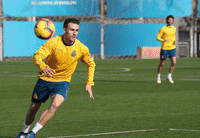 rcde GIF by RCD Espanyol