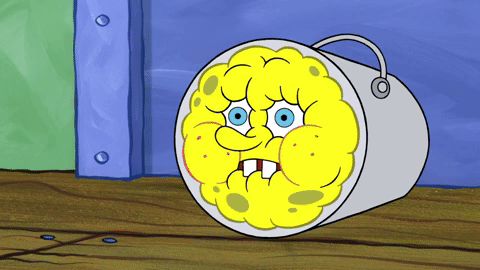 season 9 squid defense GIF by SpongeBob SquarePants