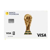 Visa Finanzas Sticker by Banco Pichincha