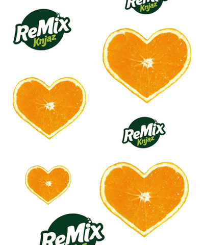 ReMixKnjaz giphyupload Sticker