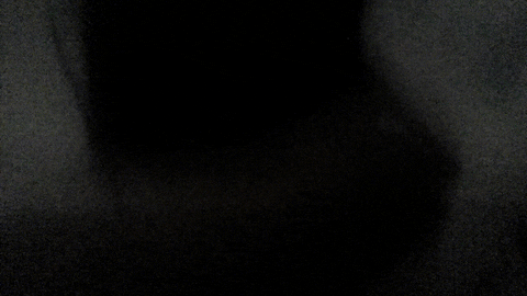 szn20 giphyupload GIF