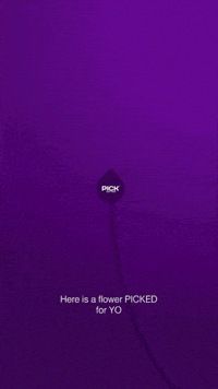 Pick GIF by V-Thru