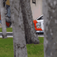 drifthq car race racecar m1 GIF