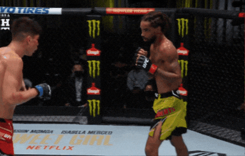 Ufc Chile GIF