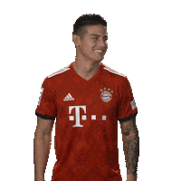 germany football Sticker by FC Bayern Munich