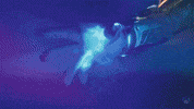 Destiny 2 Burn GIF by Xbox