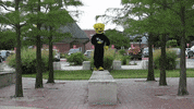 Wu_Shock wu wsu wushock shockers GIF