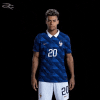France Uefa GIF by Respective