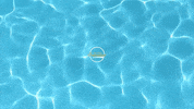GIF by Oak Knoll