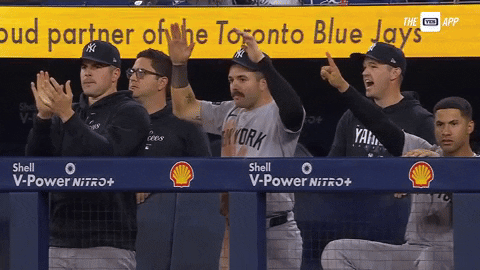 Lets Go Yankees GIF by YES Network