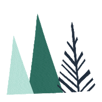 Pine Tree Winter Sticker by Amazon