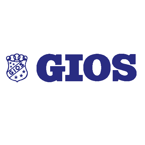 GiosBrand giphyupload glitch gios gios brand Sticker