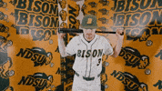 Baseball Bison GIF by NDSU Athletics