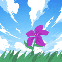 Summer Pink GIF